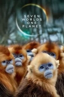 Seven Worlds, One Planet adlı Dizi için poster görseli