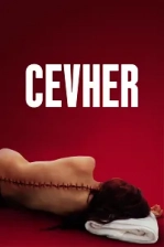 Cevher (2024)