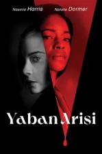 Yaban Arısı (2024)