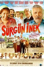 Sürgün İnek (2014)