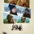 The Four Seasons 1. Sezon 1. Bölüm Small Poster